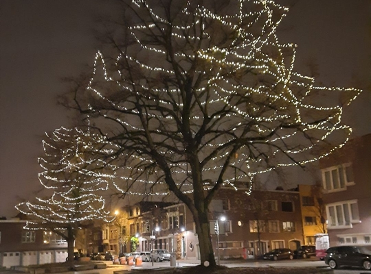Lichtjes in Berchem